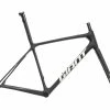 Giant TCR Advanced SL Team Disc Medium Frameset - 2020