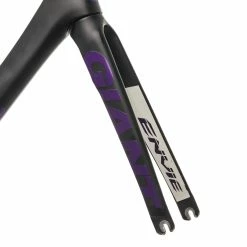 Giant Envie Advanced Womens Small Frameset - 2014 -Vente de vélos FRD11793 PH1 07 scaled
